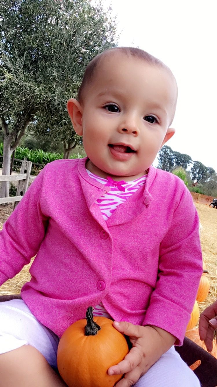 Picking Pumpkins 2019